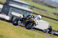 PJ-Motorsport-2019;anglesey-no-limits-trackday;anglesey-photographs;anglesey-trackday-photographs;enduro-digital-images;event-digital-images;eventdigitalimages;no-limits-trackdays;peter-wileman-photography;racing-digital-images;trac-mon;trackday-digital-images;trackday-photos;ty-croes